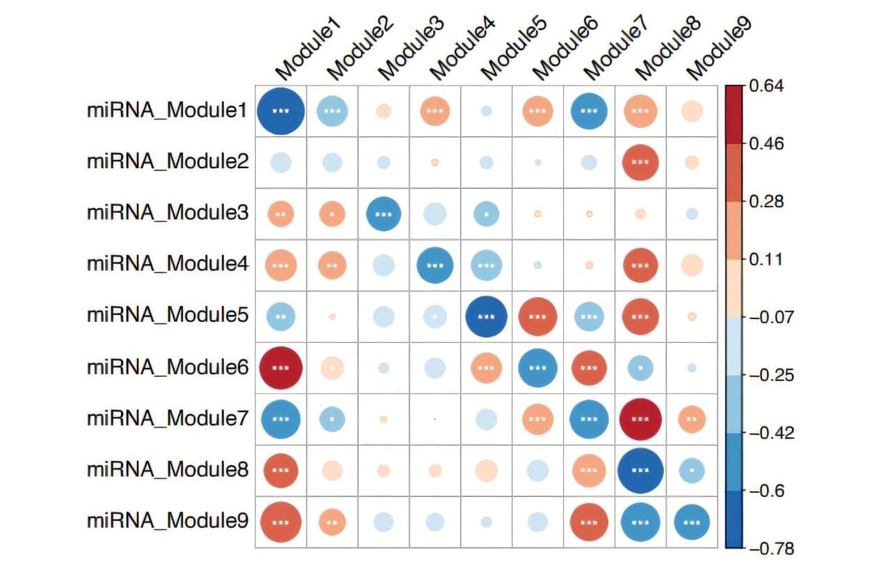 Potential immune evasion mechanism identified in premalignant lung lesions